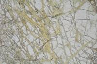 Péridotite LPNA x25